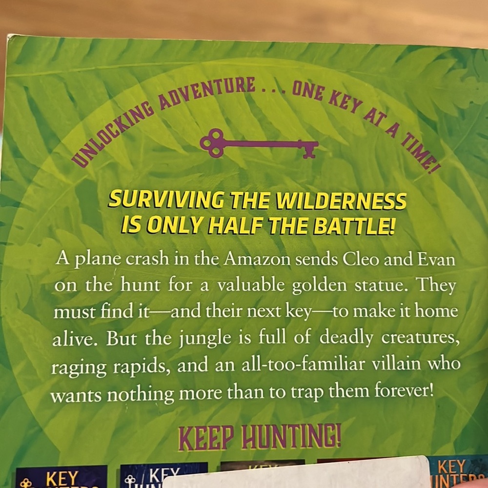 Key Hunters. Book 6 - Picture 2 of 2